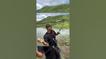 Cách sử lí khi bị kẹt lóng cần câu lure & lure dạo #lkhoa #fishing #cancauca #shorts #food