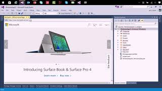 Template 10 - 1.3 - Installing and Using the Template 10 Project Templates