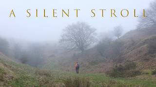 A Silent Stroll @thevalleywalker