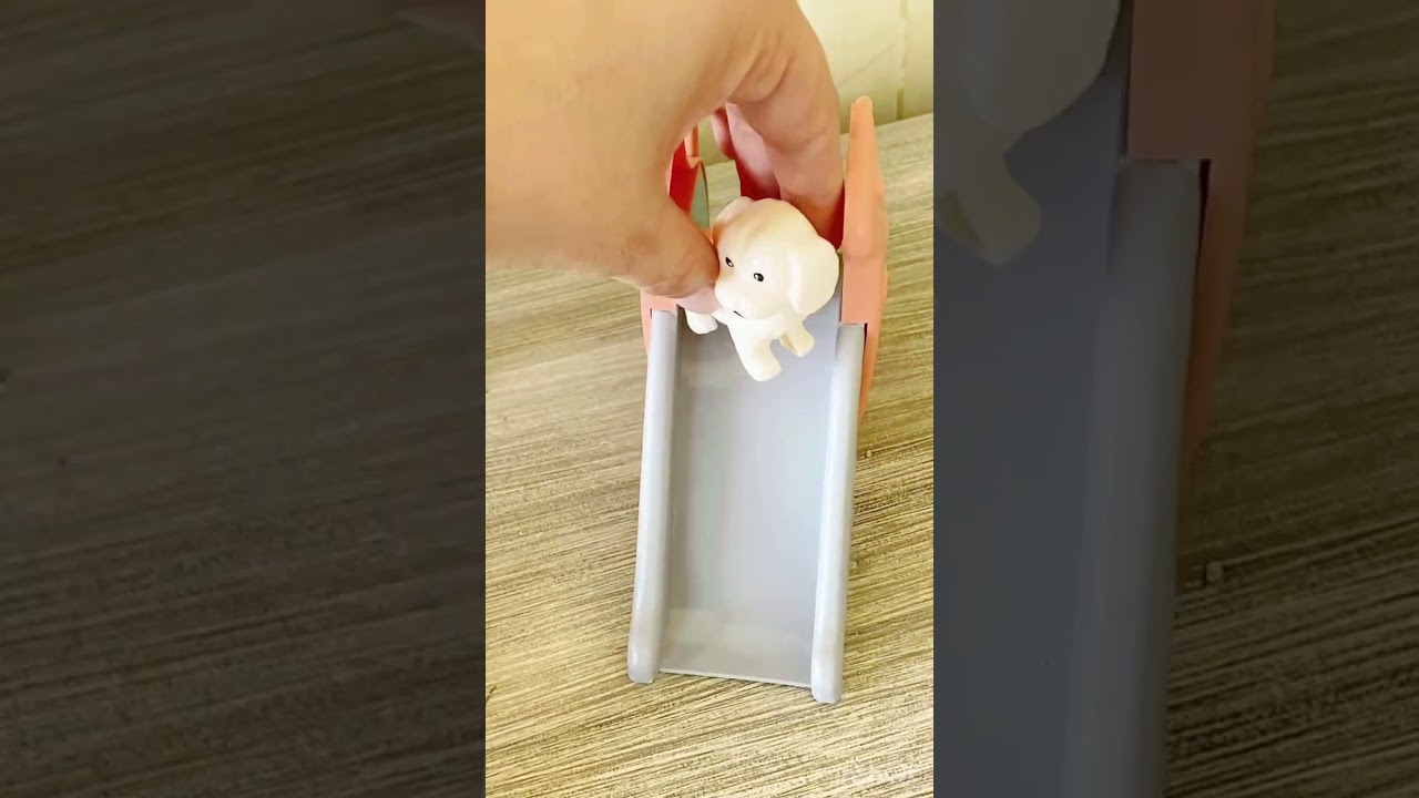 Parque de diversiones para mascotas 