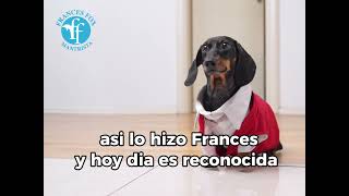 Comunicacion Entre Especies y tu Mascota