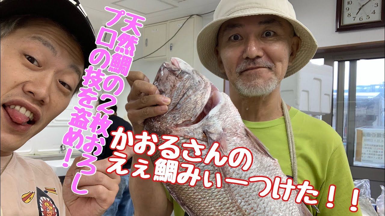 魚屋ボクサーが送る 京都の魚屋さん 天然の鯛の２枚おろし えぇ鯛の身をお見せします Youtube