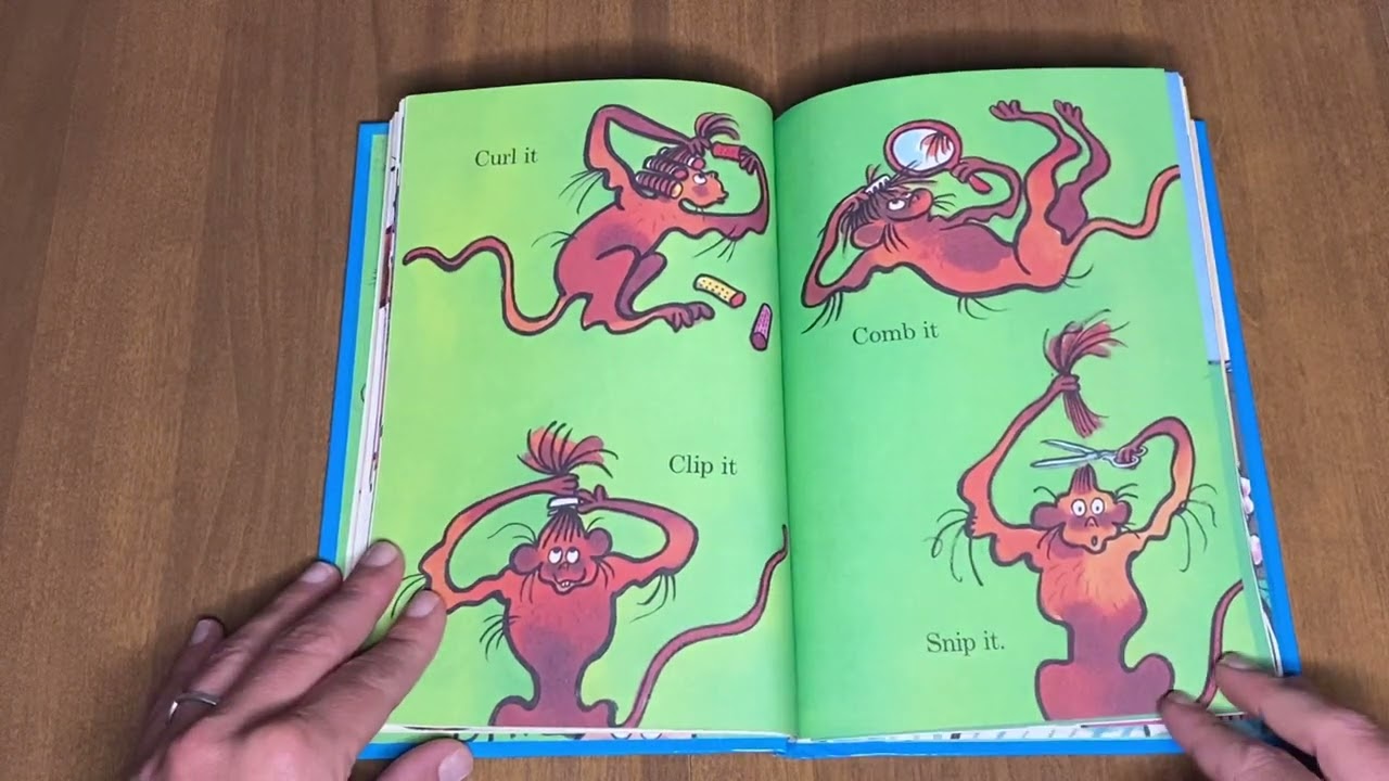 The Hair Book, A celebration of differences!