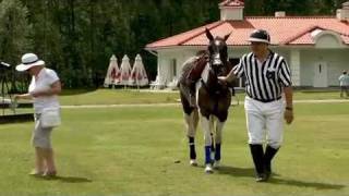 Warsaw Polo Club - Mistrzostwa Europy Środkowej FIP screenshot 4