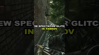 TARKOV GAVE US FREE WALL HACKS