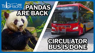 Washington DC Travel News & Tourism Updates (Winter 2024/2025)