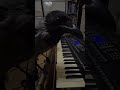 Crow Piano Mastery