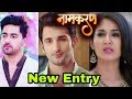 Sidhant Gupta( Kunj) to enter Star Plus's Namakaran| Aditi Rathore and Zain Imam