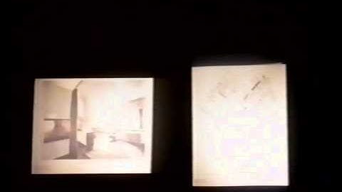 Mark Wigley - Colour Blindness in Modern Architecture