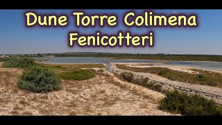 Dune di Torre Colimena - Puglia