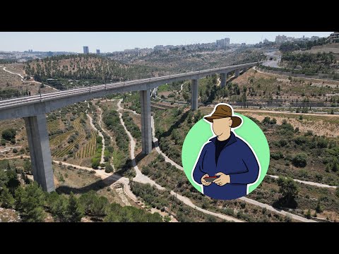 וִידֵאוֹ: היכן פארק הארזים?