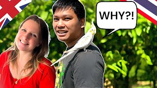 Download Lagu We Moved From The UK To Thailand For Days Like These 🇬🇧 🇹🇭 MP3