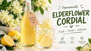 Best Elderflower Cordial Recipe | Easy Homemade Syrup from Fresh Blossoms