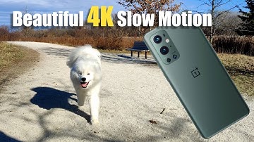 Oneplus 9 Pro 4k 120FPS Slow Motion Sample Video