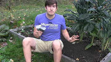 Jak rozdělit zeleninovou zahrádku?