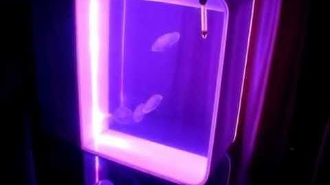 Cubic™ Jellyfish Aquarium Sneak Preview (Prototype)