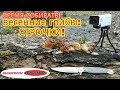 ВРЕМЯ СОБИРАТЬ! ВЕСЕННИЕ ГРИБЫ: СТРОЧКИ!