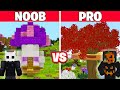 Noob vs pro en uzun aa ev yapi kapimasi  minecraft