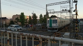 近鉄8600系X64+1233系VE39編成の急行奈良行きと京都市営地下鉄10系1101Fの普通国際会館行き 寺田駅