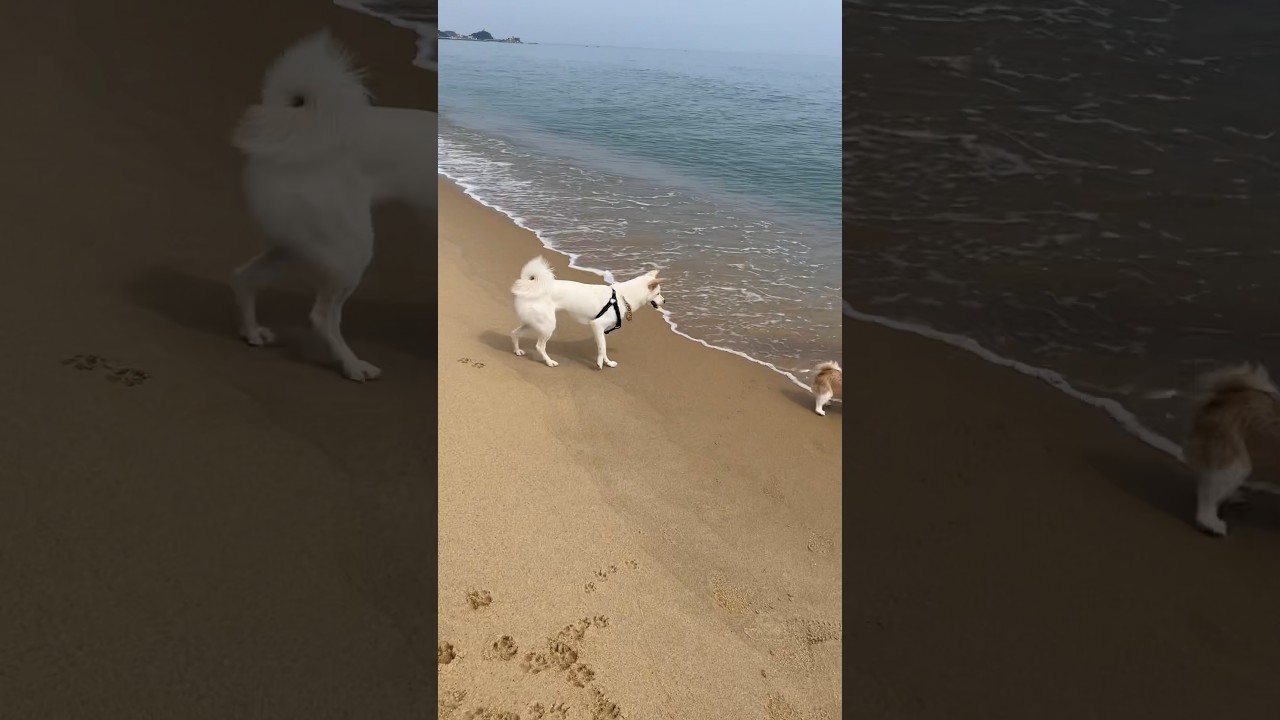 양양 지경리해수욕장에서.