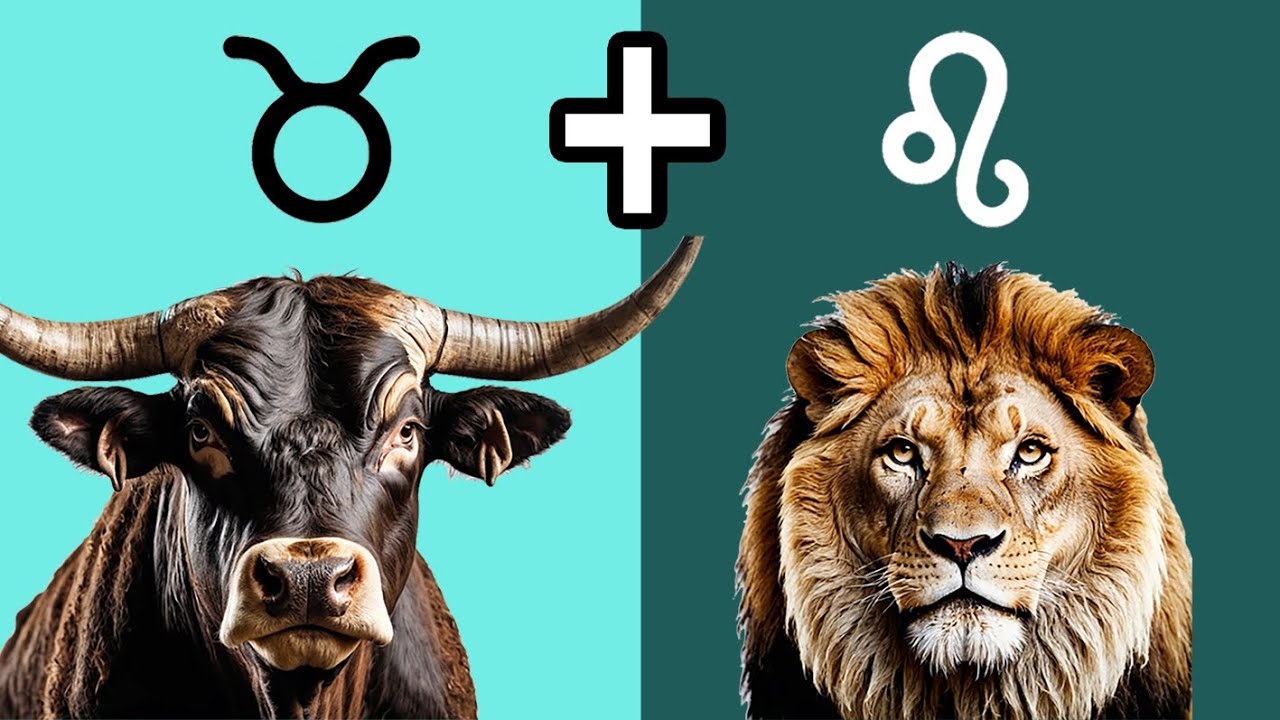COMPATIBILIDAD LEO y TAURO: Pasión y Estabilidad en Equilibrio - YouTube