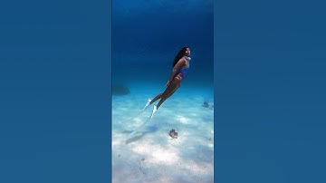 Color Grading Underwater Footage #Art #colorgrading #colorist #coloring #underwater #gopro #freedive