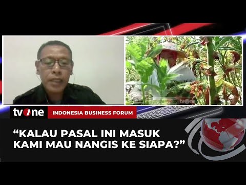 Video: Apakah tanaman tembakau ilegal?