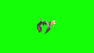 Awesome Phoenix Bird  Green Screen Free