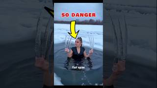 How Penguins Survive In Antarctica?