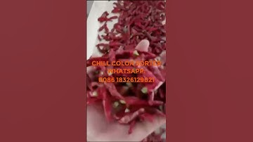 Chili Color Sorter Delivering Premium #chili #chilipeppers #colorsorting WhatsApp:0086 18326129021