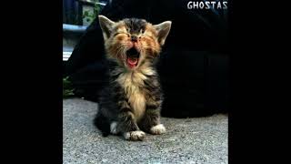 The Lumineers - Ho Hey Slowed Reverb To Perfection Ghostas Remix