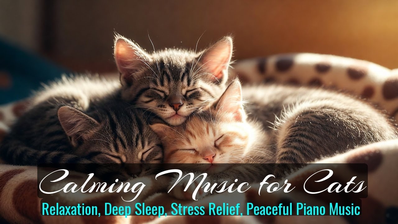 Calming Music for Cats - Relaxation, Deep Sleep, Stress Relief, Peaceful Piano Music | Season 52