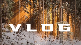 🌳Vlog Chill No Copyright Free Instrumental | Dreamland by Scandinavianz