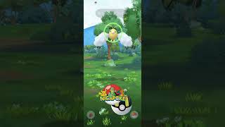 Swablu Variocolor En Pokemon Go