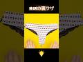 #生活の知恵 #生活小妙招 #生活小技巧 #lifehacks #tips