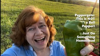 Peppergate: This is NOT a Bell Pepper!