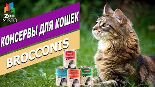 Консервы для кошек Брокконайс | Обзор Консерв Брокконайс | Animonda Brocconis review Консервы для кошек Брокконайс | Обзор Консерв Брокконайс | Animonda Brocconis review