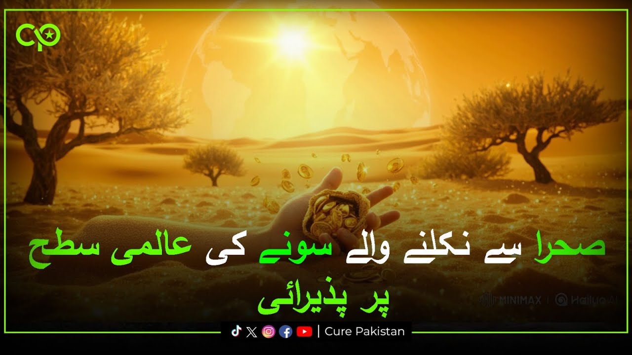 Loralaai Olives Win Global Recognition | International Olive Oil Competition | Cure Pakistan Digital