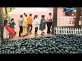 3 Big Mistakes in TMKOC Watermelons Story