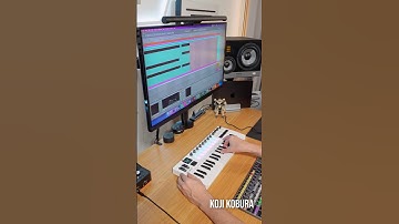 Mauro Picotto - Komodo (M-VAVE SMK-37 Pro + Ableton Live) #ableton #musicproducer ​⁠@M-VAVE