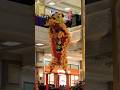 atraksi barongsai tonggak lion dance barongsai lion dance!!