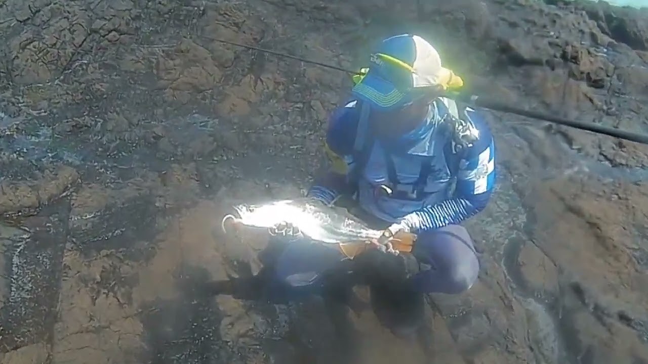 PESCA DE ROBALO Y CORVINAS 