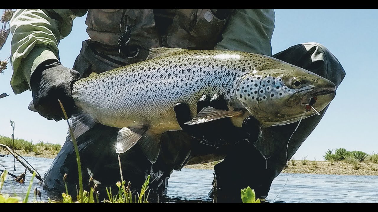LIMAY MEDIO   FORTIN NOGUEIRA PREMIO A LA INSISTENCIA