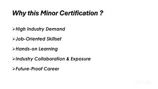 An In-Depth Overview of the Minor Degree Programme