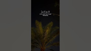صوت يبكي الحجر - أجمل حالات واتس اب قرآن كريم بصوت جميل جدا ❤️✨