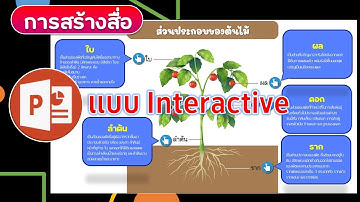การสร้างสื่อการสอน ใบความรู้แบบ Interactive ด้วย PowerPoint
