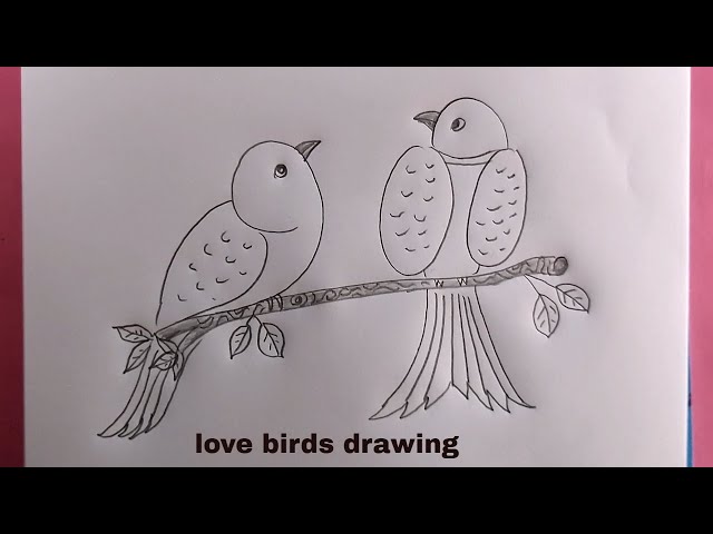 Couple Lovebirds. Vector & Photo (Free Trial) | Bigstock