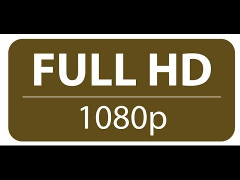 How to download bollywood hollywodd and lollywodd 1080p and 720p ...