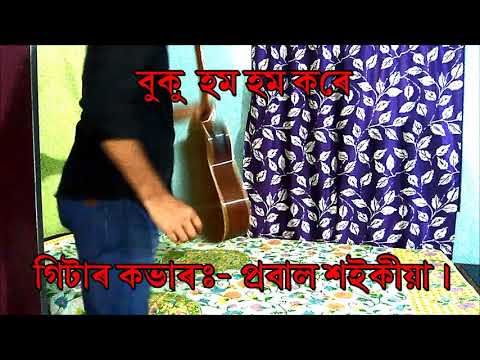 Buku Hom Hom Kore.. Dr. Bhupen Hazarika / Guitar Instrumental By:- Probal Saikia