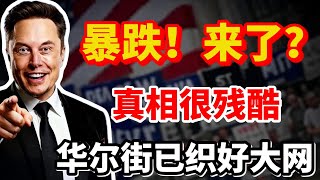 美股暴跌！来了？但别慌！真相真的很残酷！华尔街已织好大网！以太坊亲儿子暴跌！TSLA AAPL BMNR PLTR NFLX BYND
